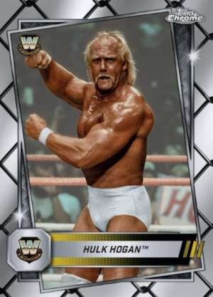 Hulk Hogan - Legend