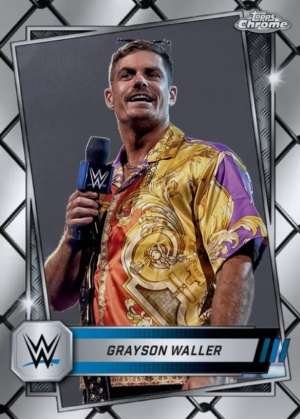 Grayson Waller - Smackdown