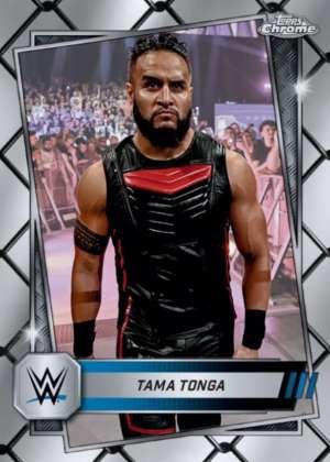 Tama Tonga - Smackdown