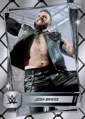 Josh Briggs - NXT