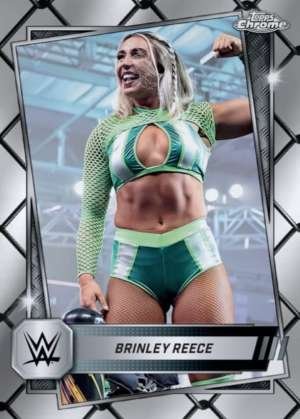 Brinley Reece - NXT