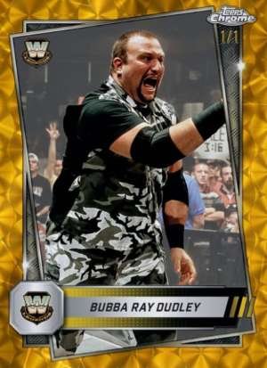 Bubba Ray Dudley - Legend