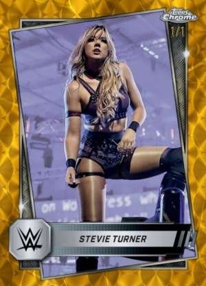 Stevie Turner - NXT
