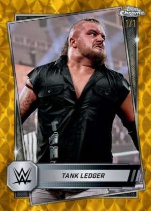 Tank Ledger - NXT
