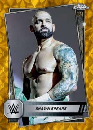 Shawn Spears - NXT