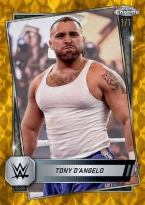 Tony D'Angelo - NXT