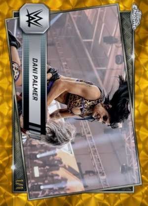 Dani Palmer - NXT