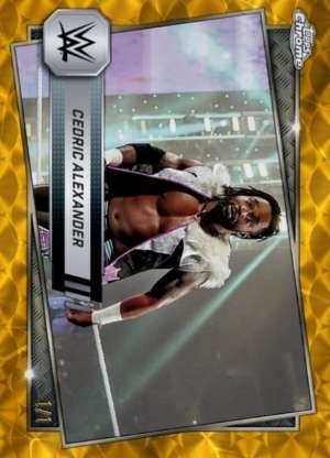 Cedric Alexander - NXT