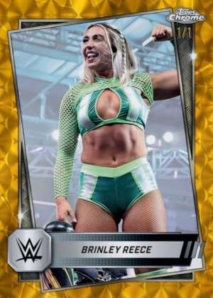 Brinley Reece - NXT