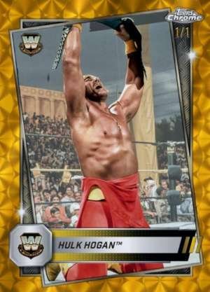 Hulk Hogan - Legend