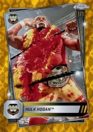 Hulk Hogan - Legend
