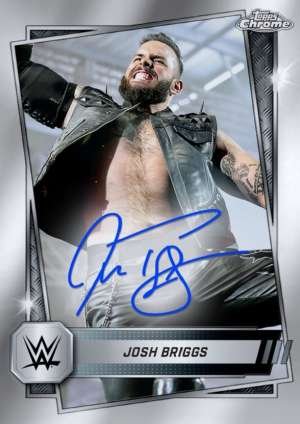Josh Briggs - NXT