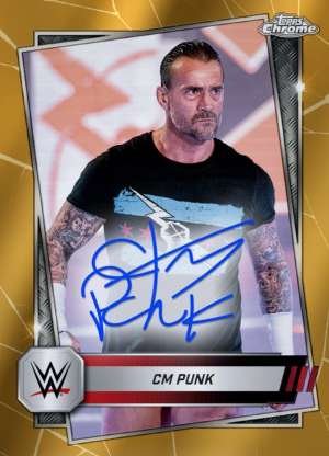 CM Punk - Raw