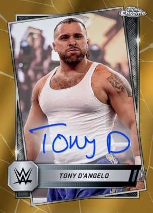 Tony D'Angelo - NXT