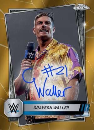 Grayson Waller - Smackdown