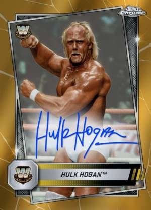 Hulk Hogan - Legend