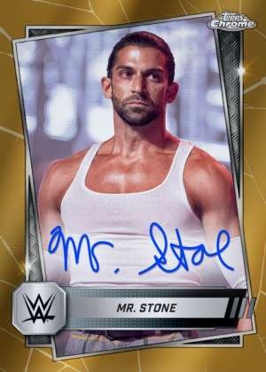 Mr. Stone - NXT