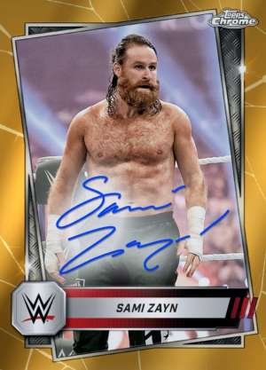 Sami Zayn - Raw