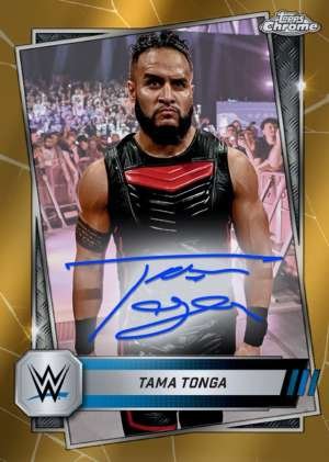Tama Tonga - Smackdown