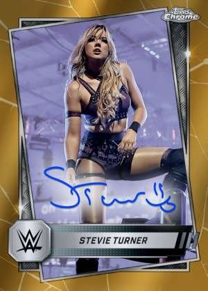 Stevie Turner - NXT