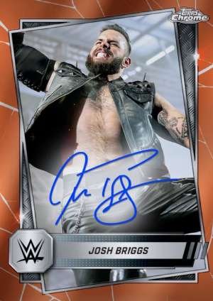 Josh Briggs - NXT