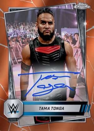 Tama Tonga - Smackdown
