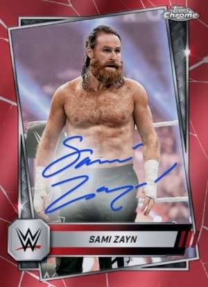 Sami Zayn
