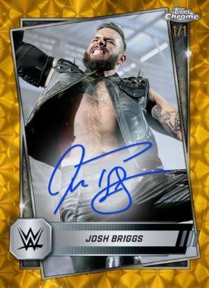 Josh Briggs