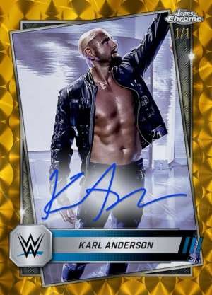 Karl Anderson