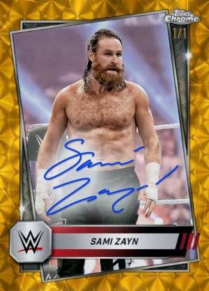 Sami Zayn