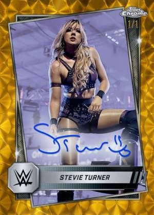 Stevie Turner
