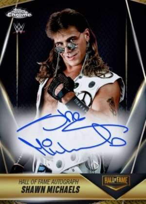 Shawn Michaels