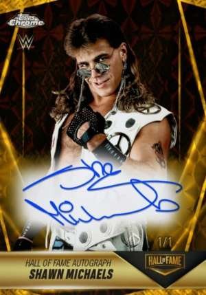 Shawn Michaels
