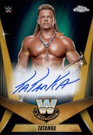 Tatanka