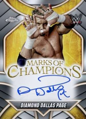 Diamond Dallas Page