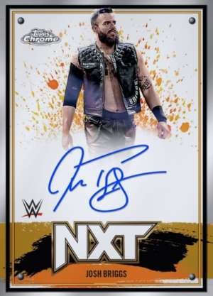 Josh Briggs
