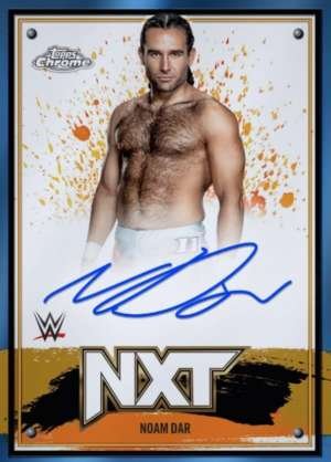 Noam Dar