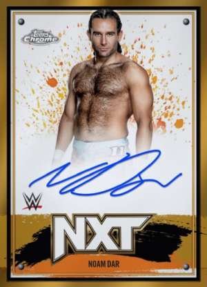 Noam Dar