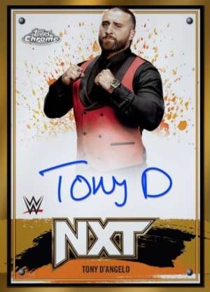 Tony D'Angelo