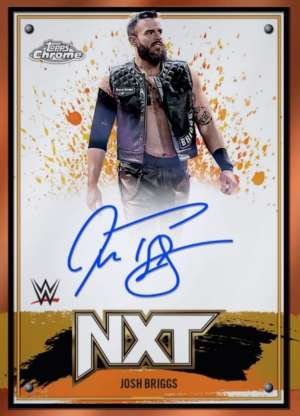 Josh Briggs