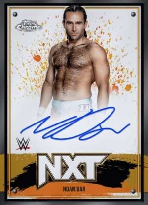 Noam Dar