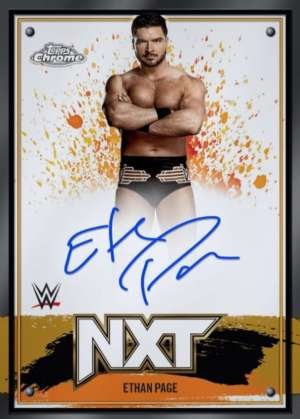 Ethan Page