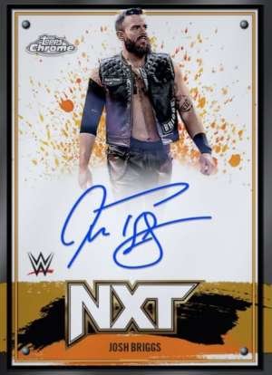 Josh Briggs