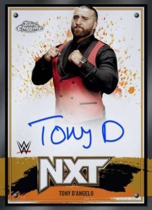 Tony D'Angelo