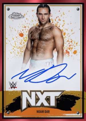 Noam Dar