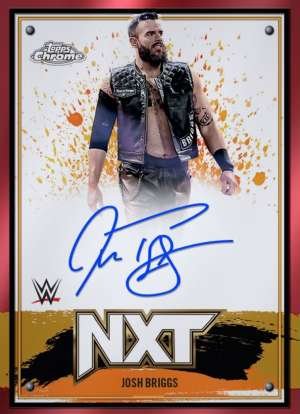 Josh Briggs