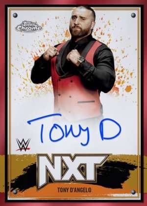 Tony D'Angelo