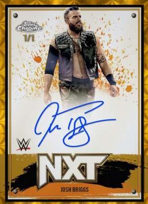 Josh Briggs