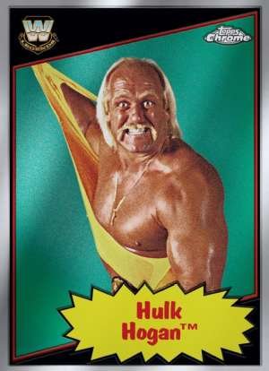 Hulk Hogan