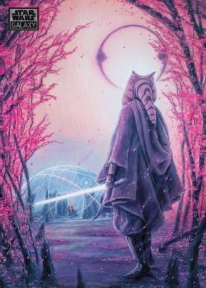 Ahsoka Tano's Path - Seth Groves